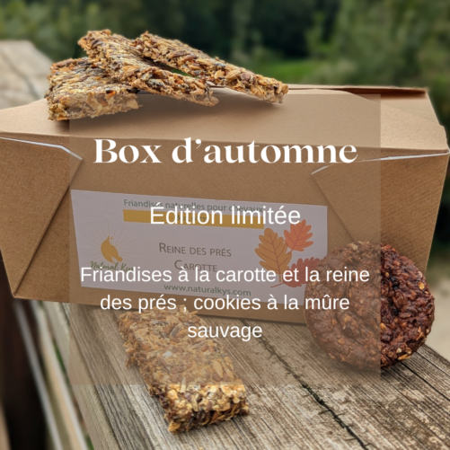 Box automne Natural Kys