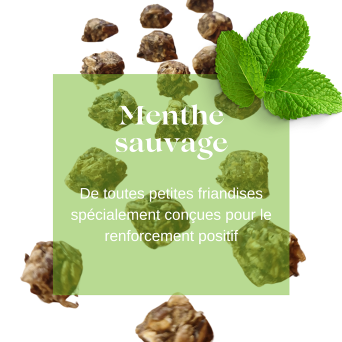 Friandises chevaux Natural Kys menthe