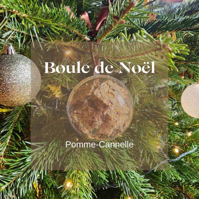 Boule de noel friandises chevaux Natural Kys