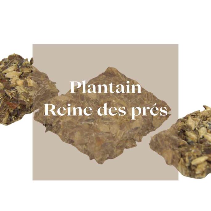 Friandises naturelles chevaux Natural Kys